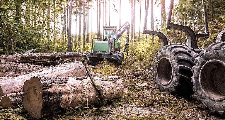 Forstmaschinen im Wald.